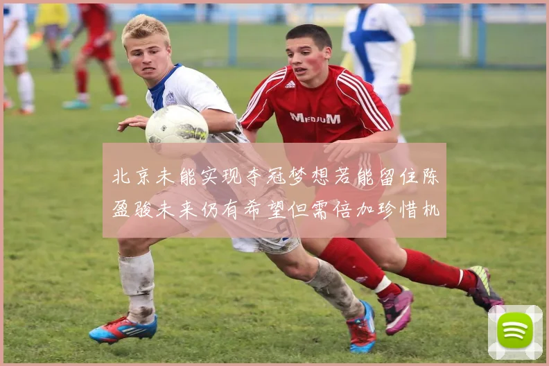 北京未能实现夺冠梦想若能留住陈盈骏未来仍有希望但需倍加珍惜机会